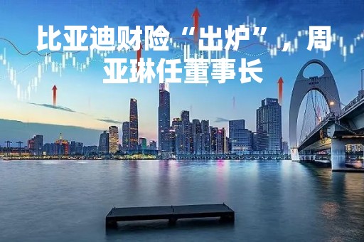 比亚迪财险“出炉”，周亚琳任董事长