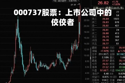 000737股票：上市公司中的佼佼者