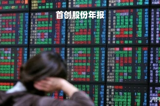 首创股份年报