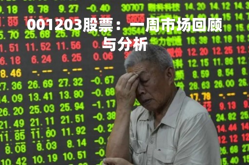 001203股票：一周市场回顾与分析