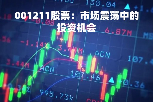 001211股票：市场震荡中的投资机会