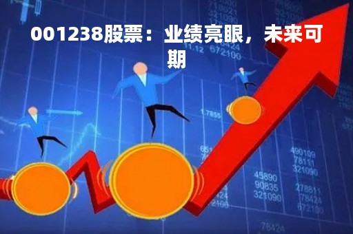 001238股票：业绩亮眼，未来可期