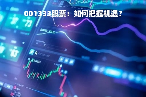 001333股票：如何把握机遇？