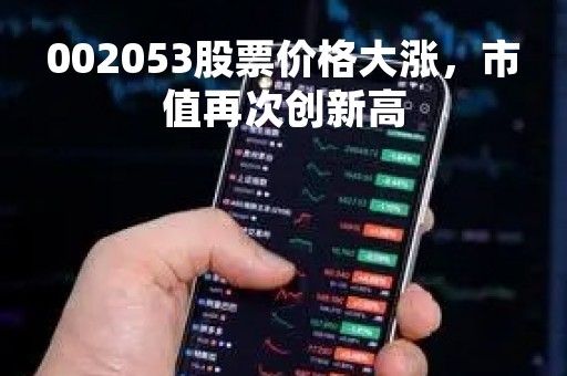 002053股票价格大涨，市值再次创新高