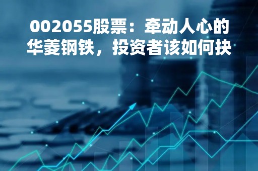 002055股票：牵动人心的华菱钢铁，投资者该如何抉择？