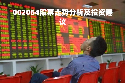 002064股票走势分析及投资建议