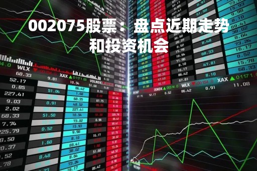 002075股票：盘点近期走势和投资机会