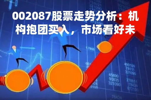 002087股票走势分析：机构抱团买入，市场看好未来发展