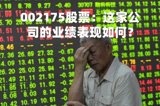 002175股票：这家公司的业绩表现如何？