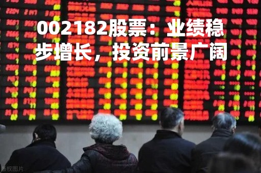 002182股票：业绩稳步增长，投资前景广阔