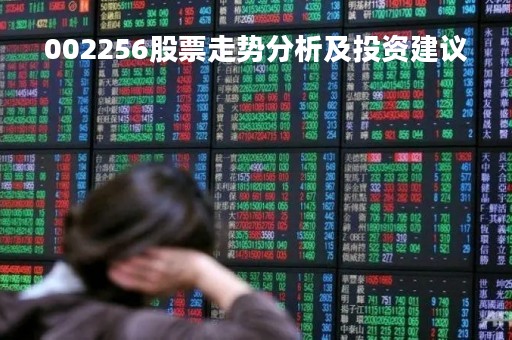 002256股票走势分析及投资建议
