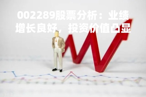 002289股票分析：业绩增长良好，投资价值凸显