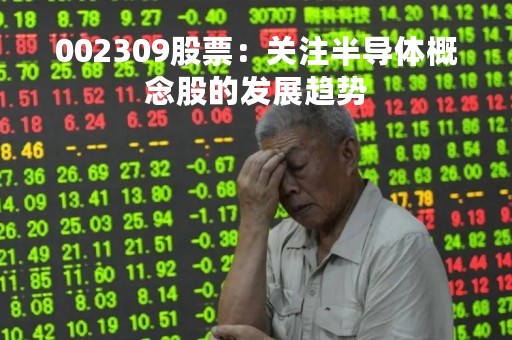 002309股票：关注半导体概念股的发展趋势