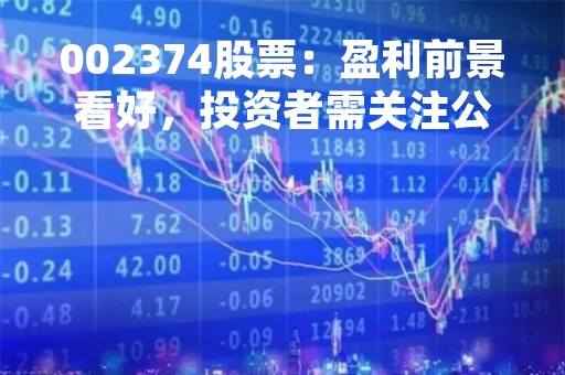 002374股票：盈利前景看好，投资者需关注公司业绩与市场变化