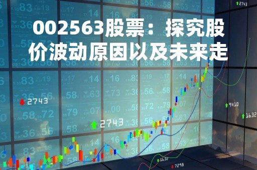 002563股票：探究股价波动原因以及未来走势分析