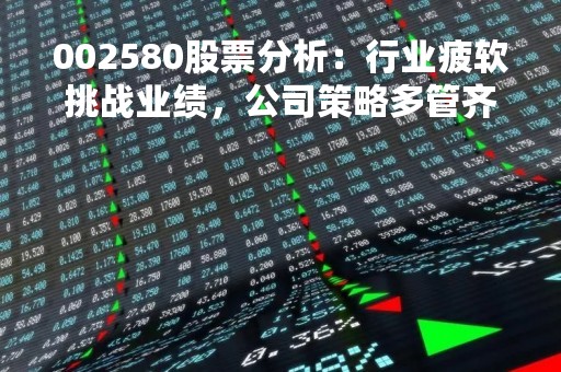 002580股票分析：行业疲软挑战业绩，公司策略多管齐下
