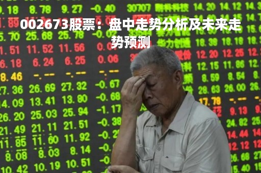 002673股票：盘中走势分析及未来走势预测