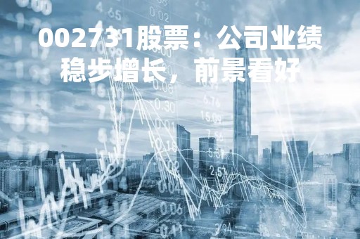 002731股票：公司业绩稳步增长，前景看好