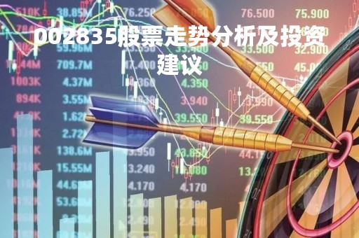 002835股票走势分析及投资建议