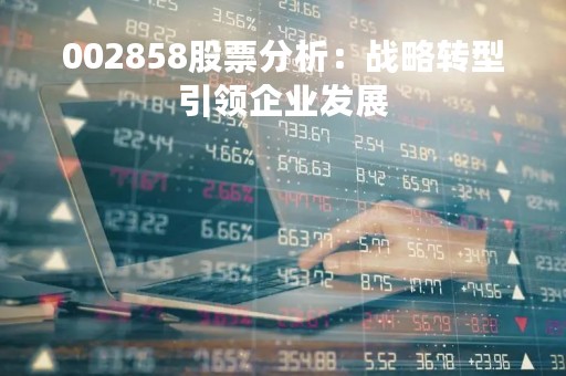 002858股票分析：战略转型引领企业发展