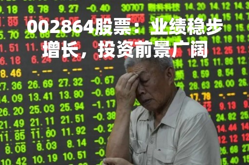 002864股票：业绩稳步增长，投资前景广阔