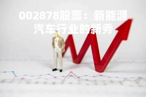 002878股票：新能源汽车行业的新秀