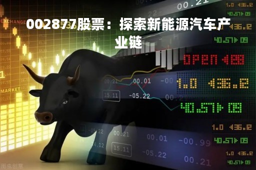 002877股票：探索新能源汽车产业链