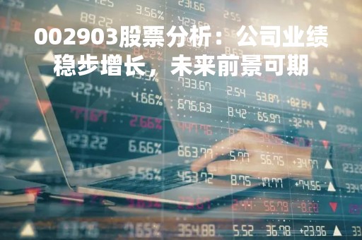 002903股票分析：公司业绩稳步增长，未来前景可期