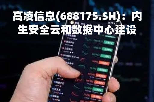 高凌信息(688175.SH)：内生安全云和数据中心建设项目相关产品主要聚焦于已有客户的私有云市场