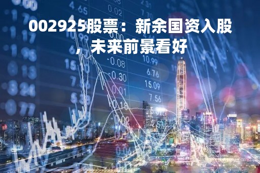 002925股票：新余国资入股，未来前景看好