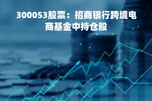 300053股票：招商银行跨境电商基金中持仓股