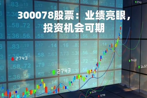 300078股票：业绩亮眼，投资机会可期