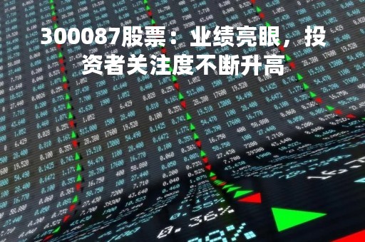 300087股票：业绩亮眼，投资者关注度不断升高