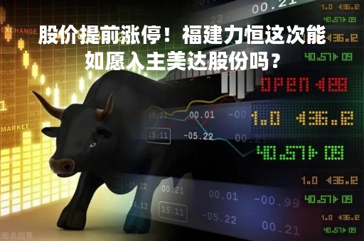 股价提前涨停！福建力恒这次能如愿入主美达股份吗？