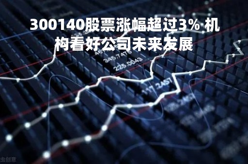 300140股票涨幅超过3% 机构看好公司未来发展