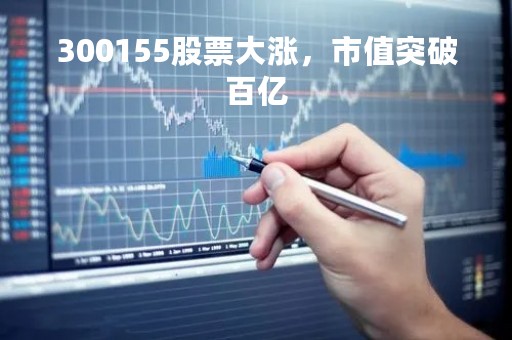 300155股票大涨，市值突破百亿