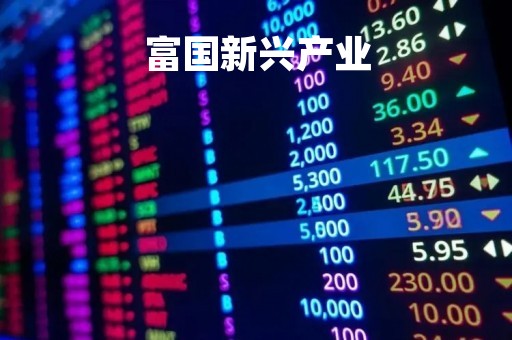 富国新兴产业