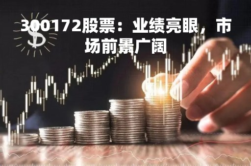 300172股票：业绩亮眼，市场前景广阔