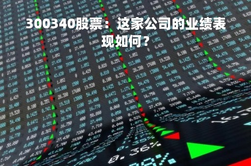 300340股票：这家公司的业绩表现如何？