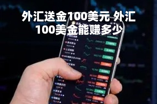 外汇送金100美元 外汇100美金能赚多少