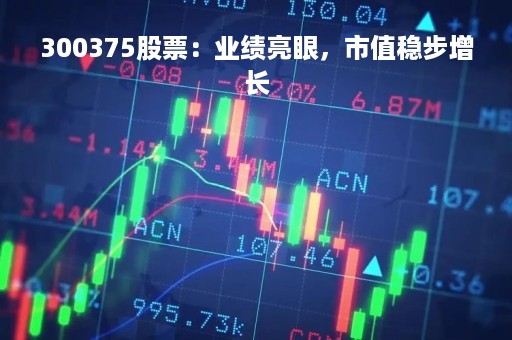 300375股票：业绩亮眼，市值稳步增长
