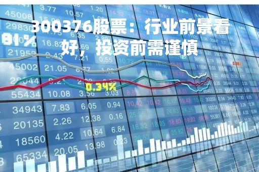 300376股票：行业前景看好，投资前需谨慎
