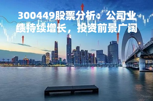 300449股票分析：公司业绩持续增长，投资前景广阔