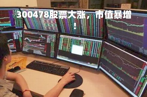 300478股票大涨，市值暴增！