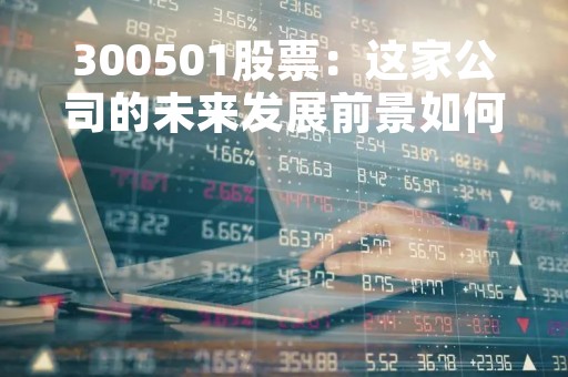 300501股票：这家公司的未来发展前景如何？