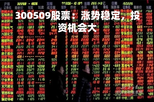 300509股票：涨势稳定，投资机会大