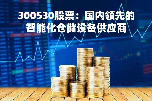 300530股票：国内领先的智能化仓储设备供应商