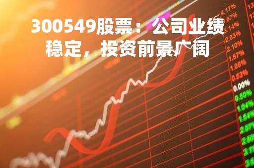 300549股票：公司业绩稳定，投资前景广阔