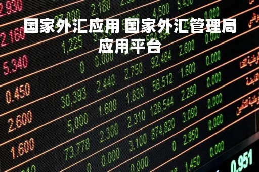 国家外汇应用 国家外汇管理局应用平台