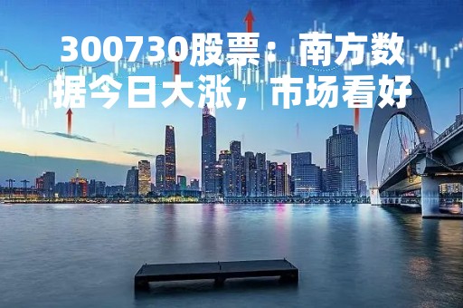 300730股票：南方数据今日大涨，市场看好公司前景